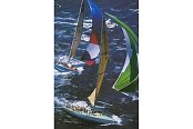 Regatta