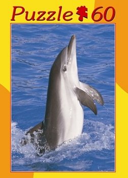 Delfin