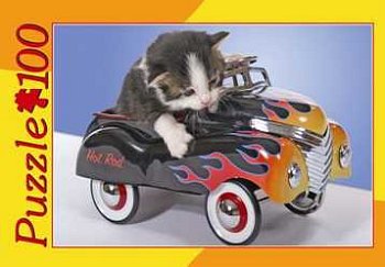 Macska racer