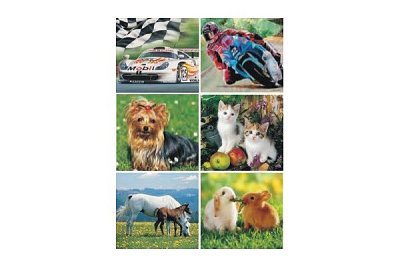 Állatok és autók mix