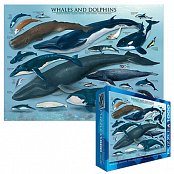 Bálnák és delfinek