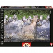 Herd fehér ló