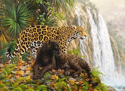 Leopárdok
