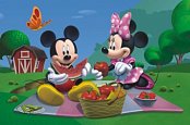Mickey mouse egy piknik