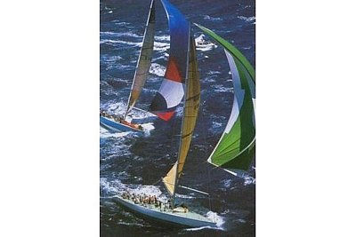 Regatta