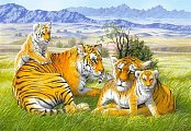 Tigris rodinka