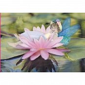 Egyszerű élvezetek