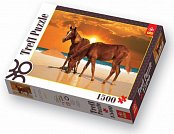 Lovak a tengerparton