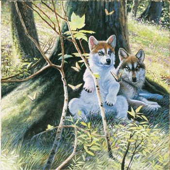 Wolves tavasz